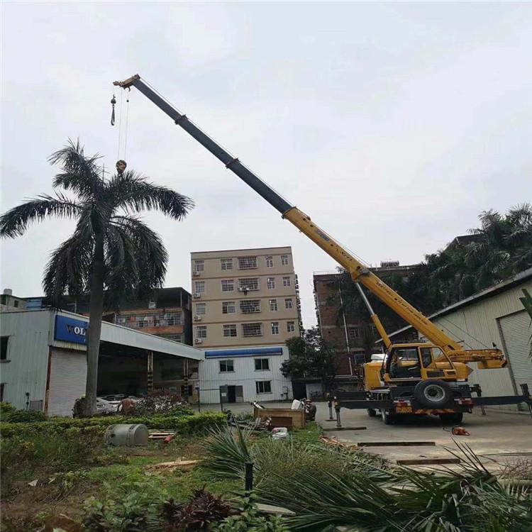 大涌镇汽车吊出租多少钱？全面解析与市场行情